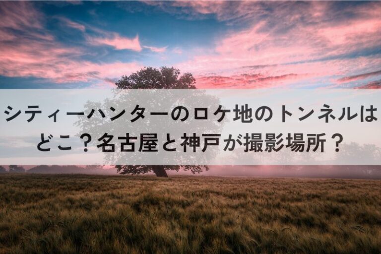 シティーハンター　ロケ地　トンネル　どこ