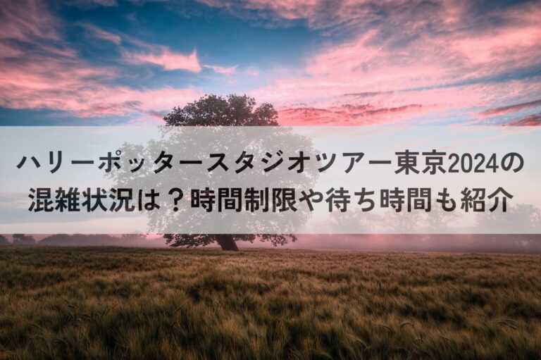 ハリーポッタースタジオツアー東京 2024 混雑状況