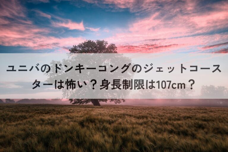 ユニバ　ドンキーコング　　ジェットコースター