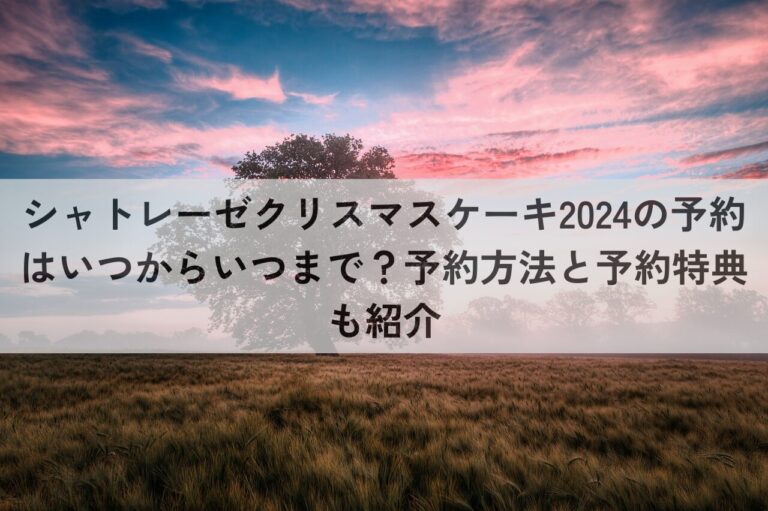 シャトレーゼクリスマスケーキ　2024　予約