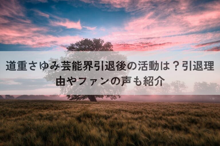 道重さゆみ 芸能界引退後 活動